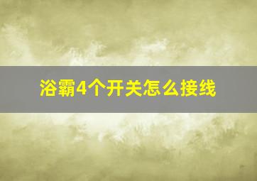 浴霸4个开关怎么接线