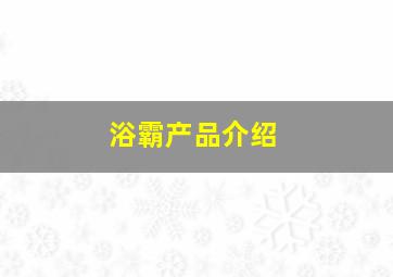 浴霸产品介绍