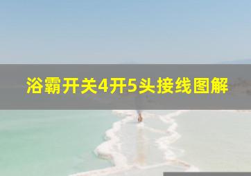 浴霸开关4开5头接线图解