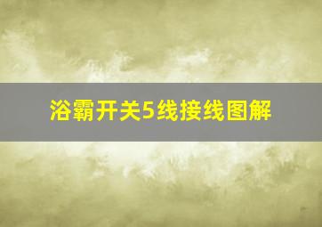 浴霸开关5线接线图解