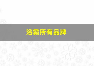 浴霸所有品牌