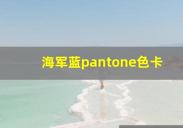 海军蓝pantone色卡