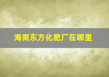 海南东方化肥厂在哪里