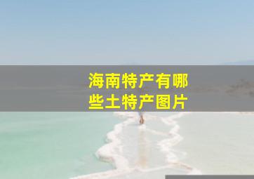 海南特产有哪些土特产图片