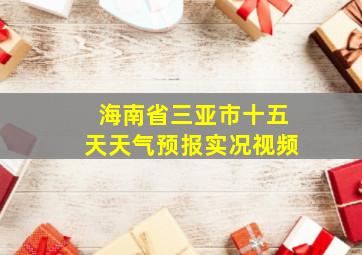 海南省三亚市十五天天气预报实况视频