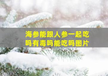 海参能跟人参一起吃吗有毒吗能吃吗图片