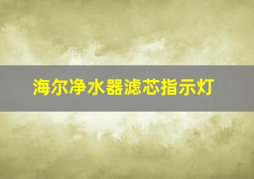 海尔净水器滤芯指示灯