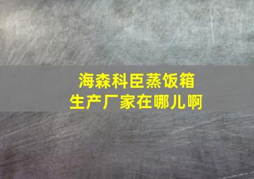 海森科臣蒸饭箱生产厂家在哪儿啊