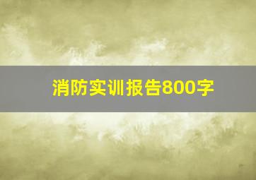 消防实训报告800字