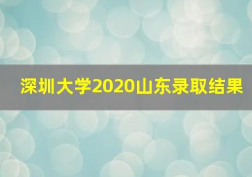 深圳大学2020山东录取结果