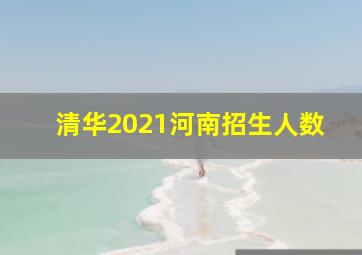 清华2021河南招生人数