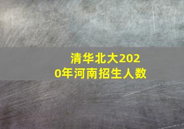 清华北大2020年河南招生人数