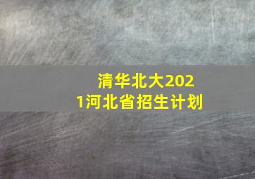 清华北大2021河北省招生计划