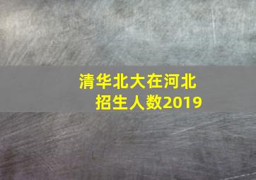 清华北大在河北招生人数2019