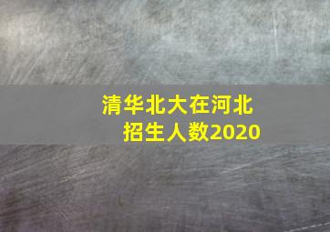 清华北大在河北招生人数2020