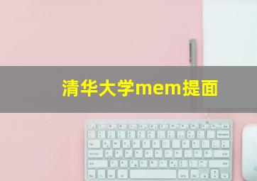 清华大学mem提面