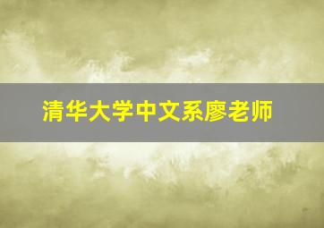 清华大学中文系廖老师