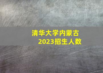 清华大学内蒙古2023招生人数