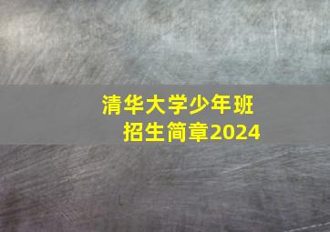 清华大学少年班招生简章2024