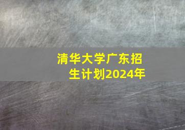 清华大学广东招生计划2024年