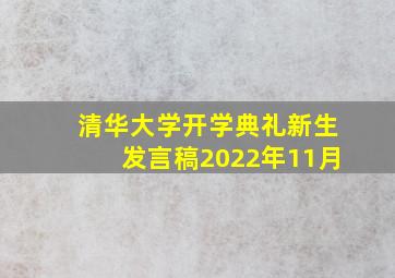 清华大学开学典礼新生发言稿2022年11月