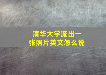 清华大学流出一张照片英文怎么说