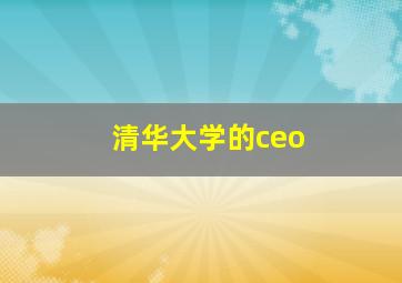 清华大学的ceo