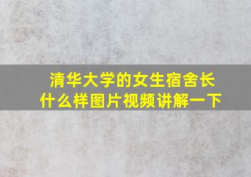 清华大学的女生宿舍长什么样图片视频讲解一下