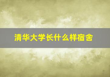 清华大学长什么样宿舍