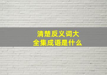 清楚反义词大全集成语是什么