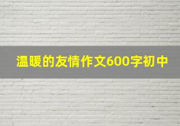 温暖的友情作文600字初中