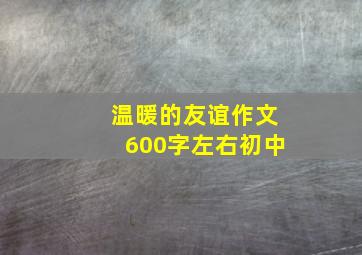 温暖的友谊作文600字左右初中