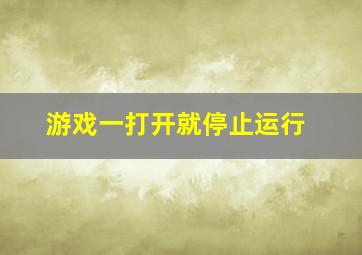 游戏一打开就停止运行