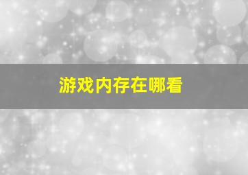 游戏内存在哪看