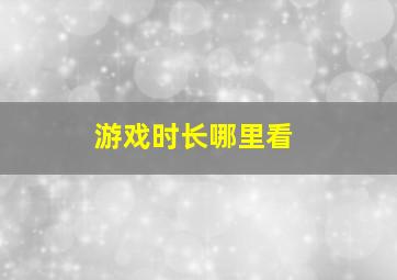 游戏时长哪里看