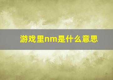 游戏里nm是什么意思