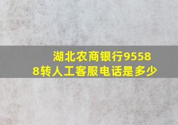 湖北农商银行95588转人工客服电话是多少