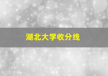 湖北大学收分线