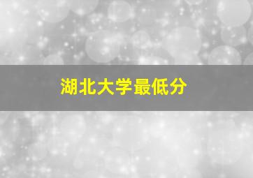 湖北大学最低分