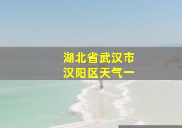 湖北省武汉市汉阳区天气一