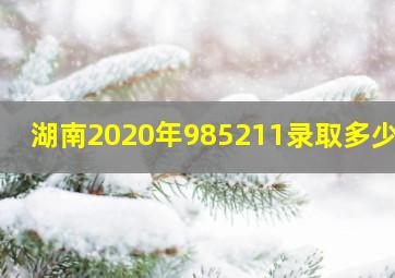 湖南2020年985211录取多少人