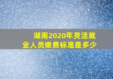 湖南2020年灵活就业人员缴费标准是多少