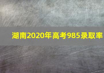 湖南2020年高考985录取率