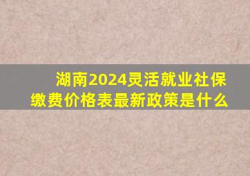 湖南2024灵活就业社保缴费价格表最新政策是什么