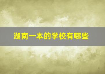 湖南一本的学校有哪些