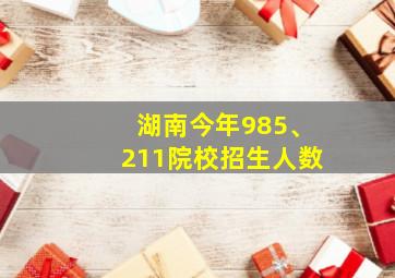 湖南今年985、211院校招生人数