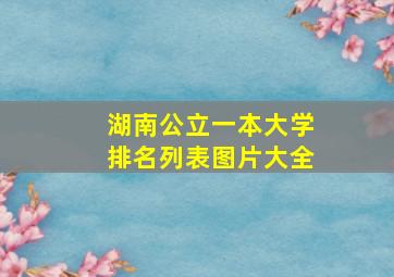 湖南公立一本大学排名列表图片大全