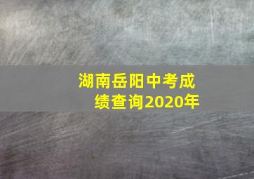 湖南岳阳中考成绩查询2020年