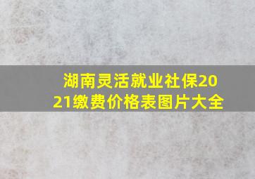 湖南灵活就业社保2021缴费价格表图片大全