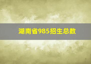 湖南省985招生总数